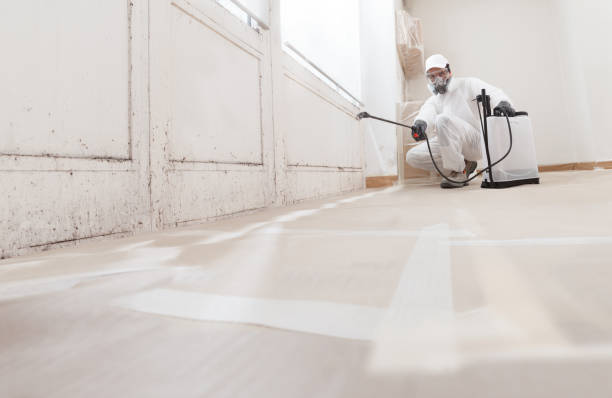 24/7 Emergency Attic Mold Remediation experts in Mattawan, MI